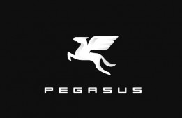 A Pegasus Brand Management