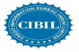 CREDIT INFORMATION BUREAU (INDIA) LTD