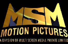 MULTI Screen Media Private Limited