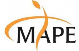 Mape Advisory Group Pvt. Ltd.