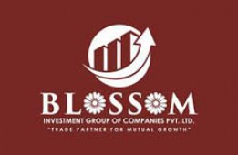 Blossom Investments P. L.