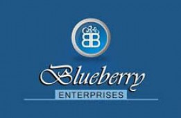 Blueberry  Enterprises