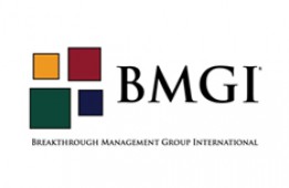 BMG India Consulting Pvt Ltd