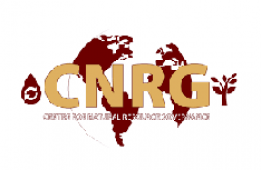 CNRG Energy 