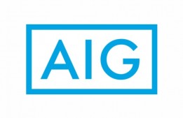 AIG - Global Investment Group