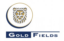 	 Goldfield India Pvt Ltd